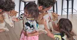 Solenn Heussaff and Nico Bolzico’s Cat El Gato Returns Home featured image