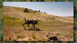 It’s real! Armed robot dogs are entering the army featured image