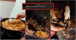 M’sian Couple Cook Meals for Stray Dogs Up to 4 Times a Week & Deliver it to Multiple Areas Near Their Home featured image