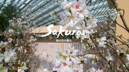 Sakura Returns! Hop on a Scenic Train Journey across a Japanese Landscape at Gardens by the Bay featured image