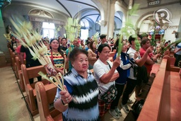 IN PHOTOS: Palm Sunday’s blessings on the faithful featured image