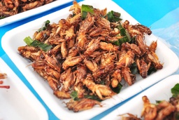 16 Insects Species Have Been Approved For Food Consumption In Singapore featured image