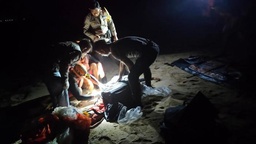 Tragic paragliding mishap claims life of South Korean traveler in Pecatu featured image