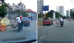[Watch] Two Men On Motorcycle Carry Groceries Home In Supermarket Trolley featured image