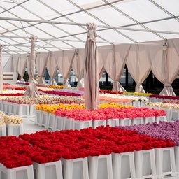 CJ Hendry moves installation with 100,000 "plush flowers" overnight in New York featured image