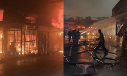 Thousands of animals perish in devastating Chatuchak Pet Market fire featured image