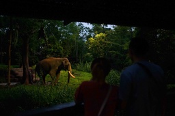 New Experiences at Mandai Wildlife Reserve: Night Safari’s New Trail And Singapore Zoo’s Upcoming Marine Coastal Exhibit with F&B Hub featured image