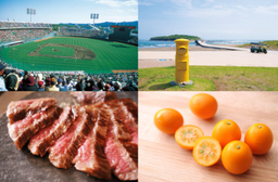 Miyazaki City hit a homerun to the world, Welcoming International Visitors with Open Arms featured image