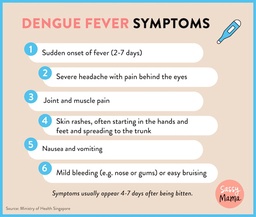 High Risk of Dengue Fever Surge: How to Check if You Live in a Dengue Cluster featured image