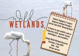 Wild Wetlands featured image
