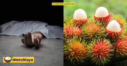 9yo M’sian Girl Dies After Choking On Rambutan Seed featured image